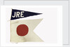House flag, Ellerman's Wilson Line Ltd by unknown