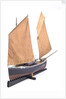 Ebenezer' (1867), port by Max T. Davey