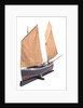 Ebenezer' (1867), port by Max T. Davey