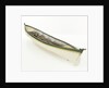 Full hull model, whaler, port stern quarter by unknown