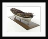 'Amazon', starboard by unknown