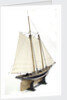 Schooner Yacht 'America' (1851) by unknown