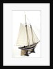 Schooner Yacht 'America' (1851) by unknown