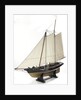 Schooner Yacht 'America' (1851) by unknown
