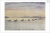 Gamla Carleby, June 7th 1854. The boats going in. by Dr Edward Hodges Cree