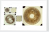 Five double plates of square glass of various sizes by unknown