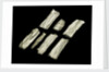Metal gauze by unknown