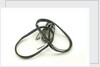 Four strips of magnesium ribbon in a bag by unknown