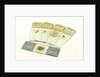 Microscope slides by unknown