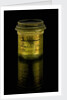 Eyepiece, doublet by unknown