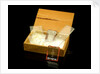 Microscope slides and box by Unknown