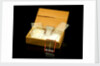 Microscope slides and box by Unknown