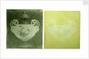 Two transparencies of a Wedgwood vase circa 1900 by Unknown