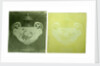 Two transparencies of a Wedgwood vase circa 1900 by Unknown