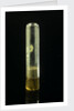 Empty specimen tube with cork by unknown