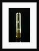 Empty specimen tube with cork by unknown