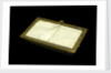Microscope slide holder by unknown