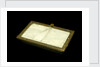 Microscope slide holder by unknown