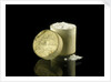 Pill box containing sulphate of magnesia by unknown