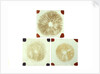Three sealed microscope slides of an unidentified vegetable by unknown
