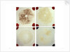 Four microscope slides showing an object similar to those marked AST103950 by unknown