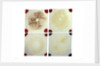 Four microscope slides showing an object similar to those marked AST103950 by unknown