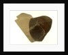 Five sheets of mica in a bag by unknown