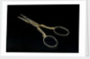 Scissors by unknown