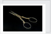 Scissors by unknown