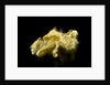 Two skeins of raw silk in an envelope by unknown