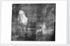 X-ray detail showing under-painting of icebergs in BHC2370 'View in Pickersgill Harbour, Dusky Bay, New Zealand' by William Hodges by William Hodges