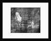 X-ray detail showing under-painting of icebergs in BHC2370 'View in Pickersgill Harbour, Dusky Bay, New Zealand' by William Hodges by William Hodges