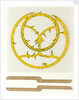 Cardboard astrolabe kit with instructions for assembly by Glenn Ellen Scientific Company