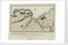 A plan of Fishguard Bay near which the French landed 1200 men 22nd February 1797 and surrendered prisoners to Lord Cawdor on the 24th by Laurie & Whittle