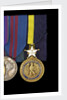 Navy Distinguished Service Medal, USA, obverse by unknown