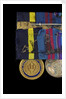 Navy Distinguished Service Medal, USA, reverse by unknown