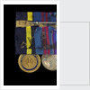 Navy Distinguished Service Medal, USA, reverse by unknown