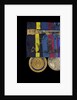 Navy Distinguished Service Medal, USA, reverse by unknown