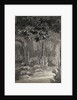 A view through trees towards a single-storey building (verso) by Thomas Baxter