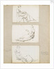 Three studies of young woman seated by Thomas Baxter