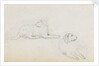 Studies of Nelson's dogs (recto) by Thomas Baxter