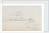 Studies of Nelson's dogs (recto) by Thomas Baxter