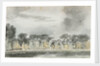 A view across the River Wandle at Merton by Thomas Baxter