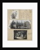 A study of a shrub and and chair, views of Merton Place by Thomas Baxter
