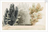 A trellis arbour at Merton Place by Thomas Baxter