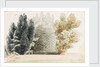 A trellis arbour at Merton Place by Thomas Baxter
