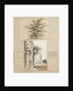 Study of a cedar tree by Thomas Baxter