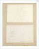 Studies of garden plants including rose foliage and honeysuckle by Thomas Baxter