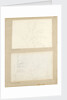 Studies of garden plants including rose foliage and honeysuckle by Thomas Baxter