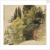 A study of trees in the grounds at Merton Place by Thomas Baxter